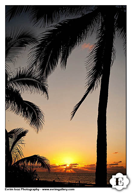 Mexico Wedding Photography for Destination Weddings Sayulita Puerto Vallarta