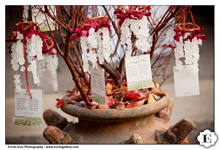 Fall Portland Oregon Vineyard Wedding