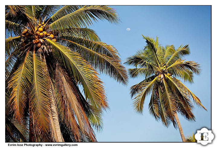 The Viceroy Zihuatanejo Wedding