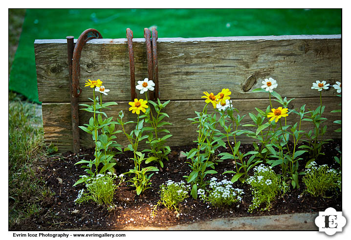 Rogue River Wedding