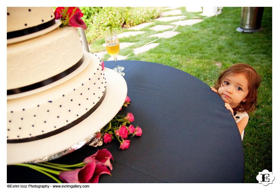 Vineyard Wedding in Oregon