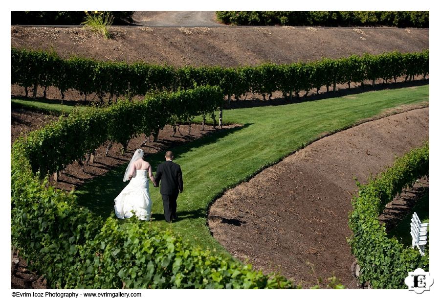 Elk Cove Vineyards wedding