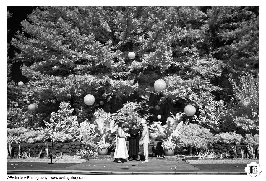 San Francisco wedding