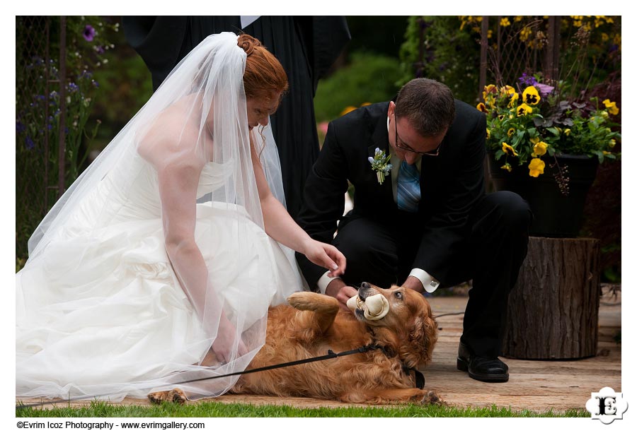 Astoria Wedding