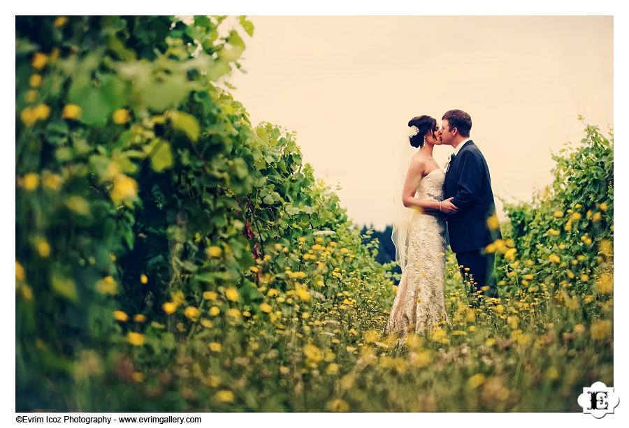 Zenith Vineyard Wedding