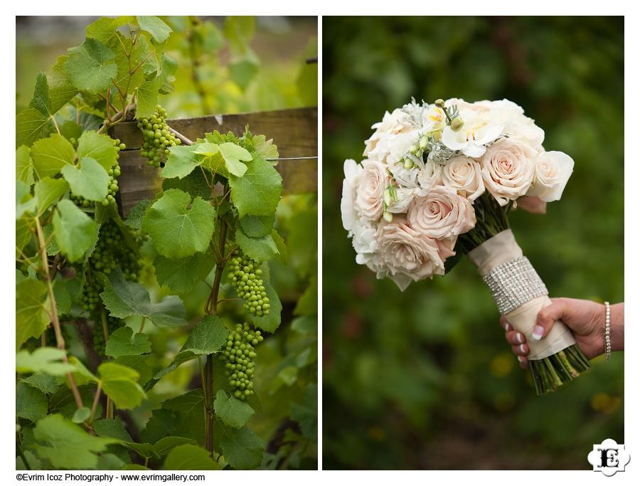 Zenith Vineyard Wedding