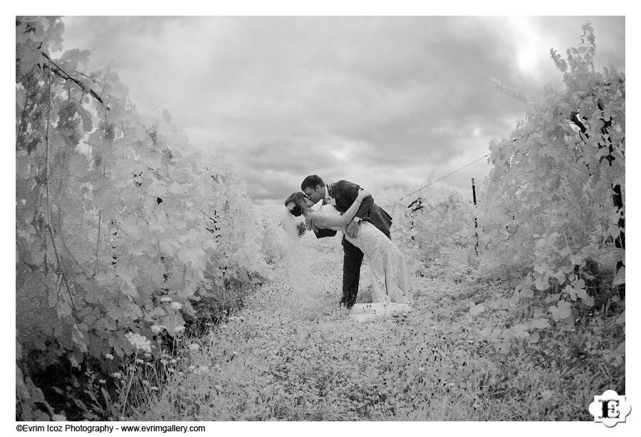 Zenith Vineyard Wedding