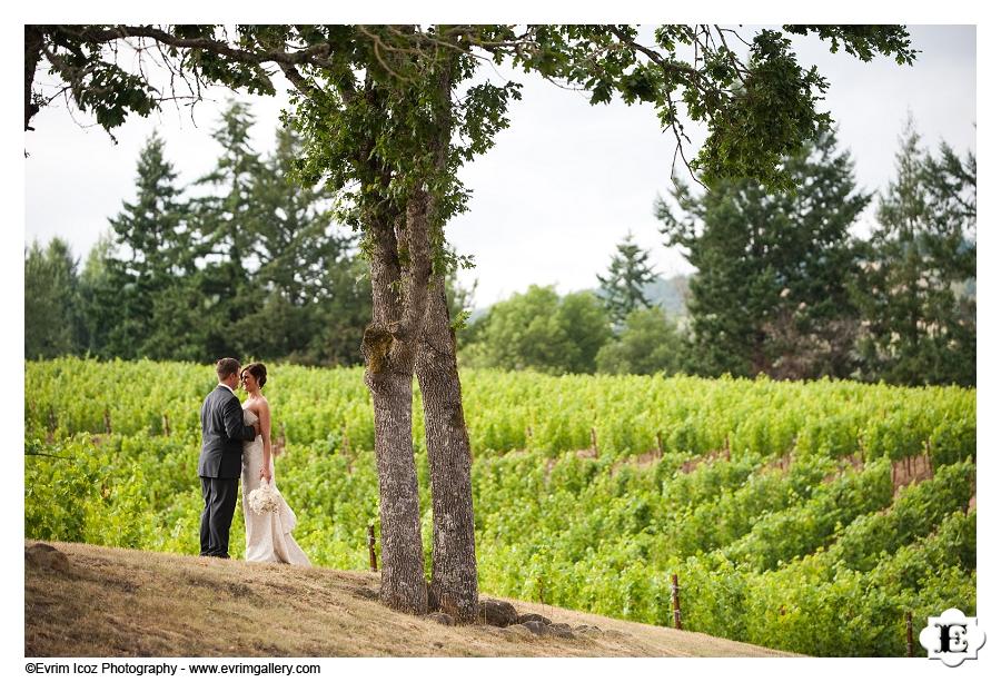 Zenith Vineyard Wedding