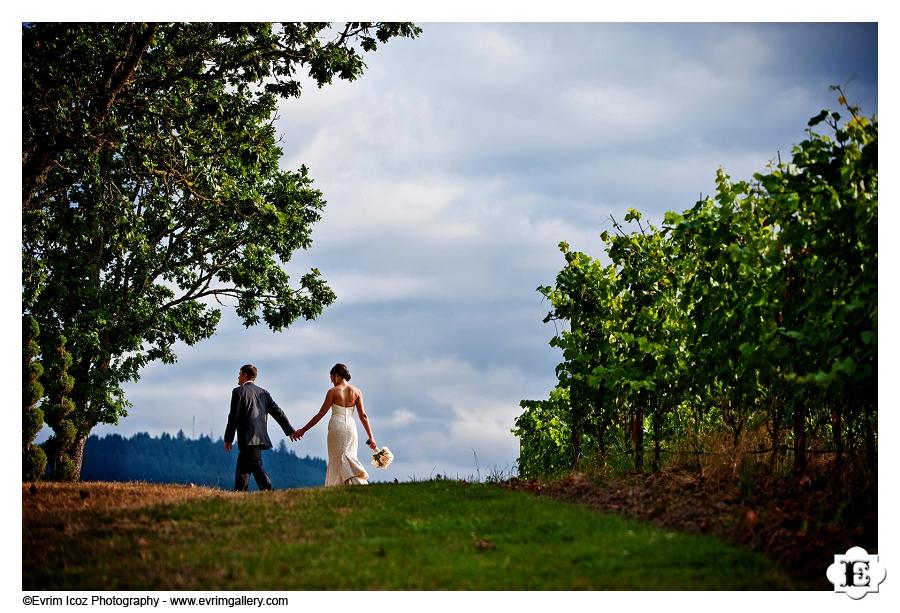 Zenith Vineyard Wedding