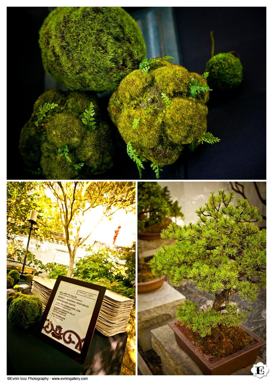 Portland Classical Chinese Gardens