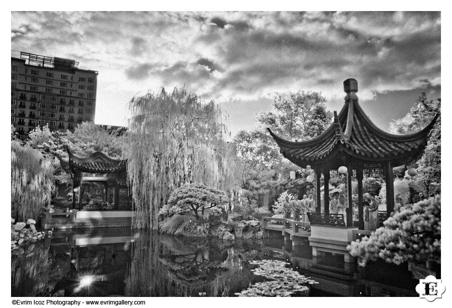 Portland Classical Chinese Gardens