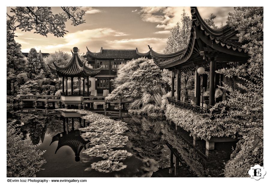 Portland Classical Chinese Gardens