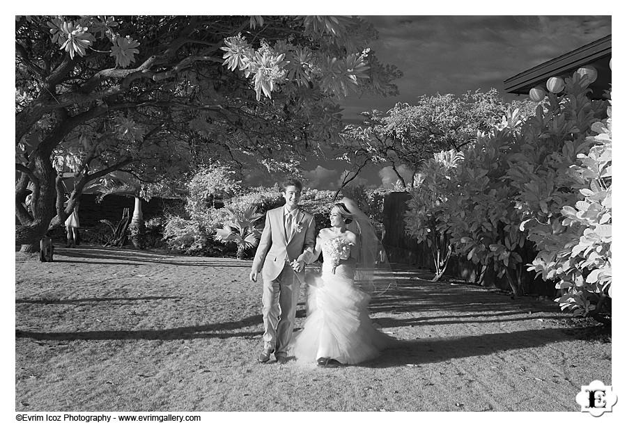 Maui Wedding