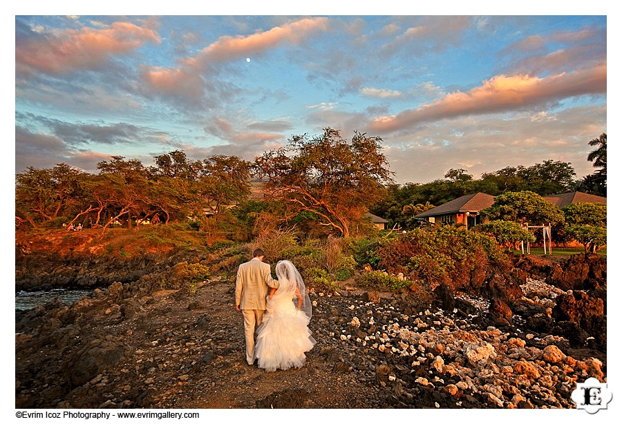 Maui Wedding