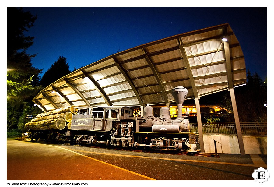 World Forestry Center train