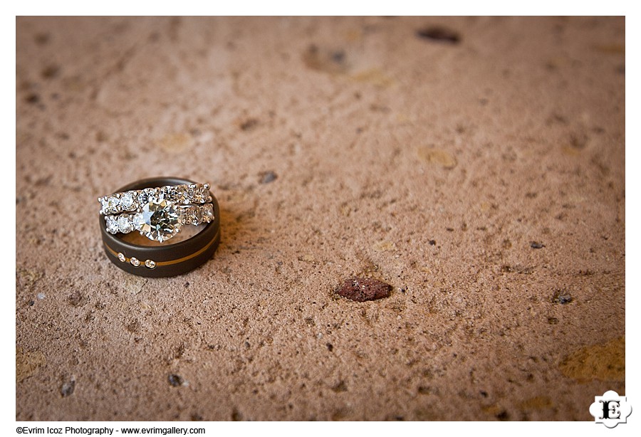 Don Pedro's Palapa Wedding