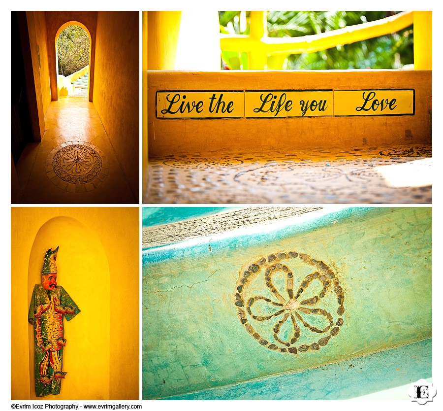 Don Pedro's Palapa Wedding