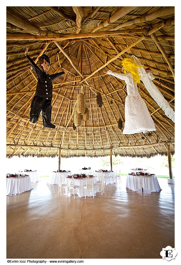 Don Pedro's Palapa Wedding