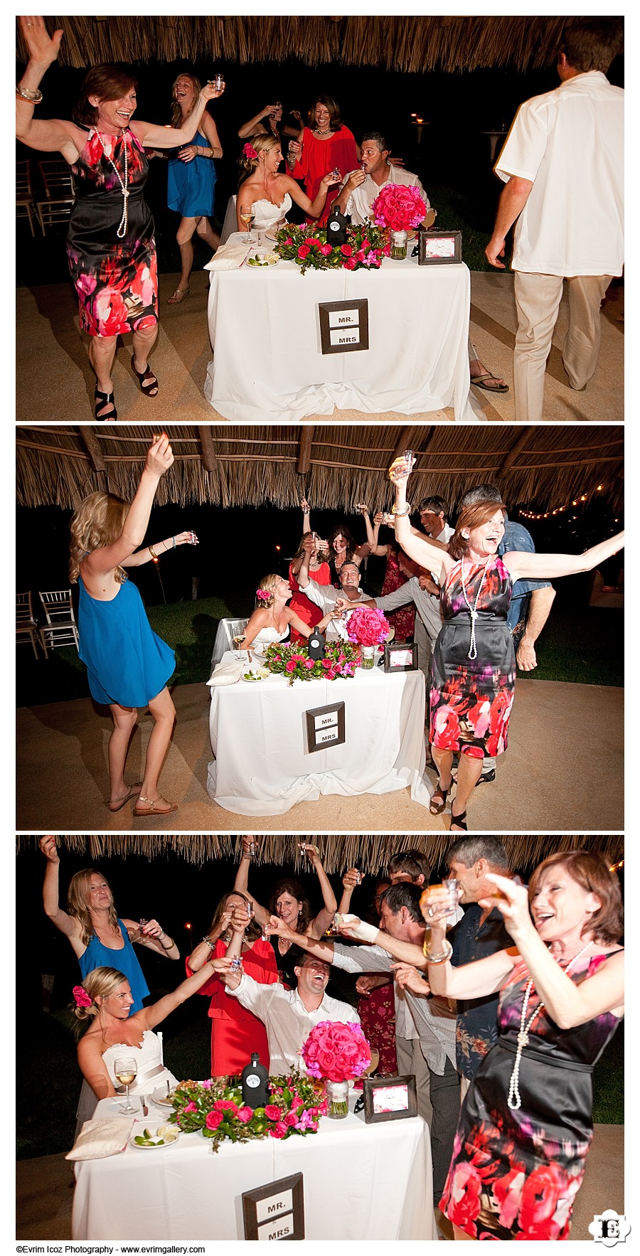 Don Pedro's Palapa Wedding