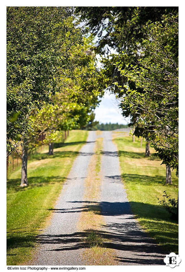 Lopez Island Wedding