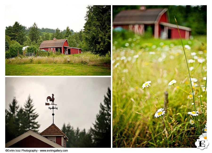 Oregon Barn Wedding