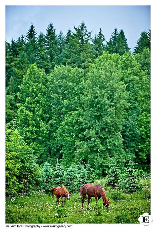 Oregon Barn Wedding