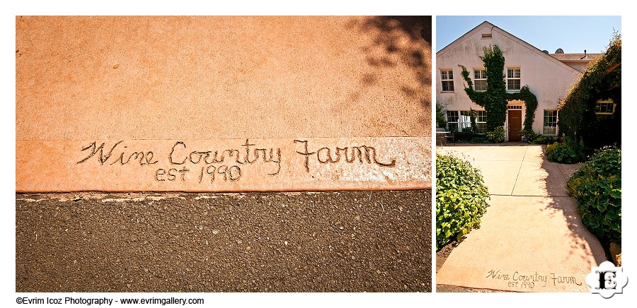 Wine Country Farm and Bed and Breakfast Wedding