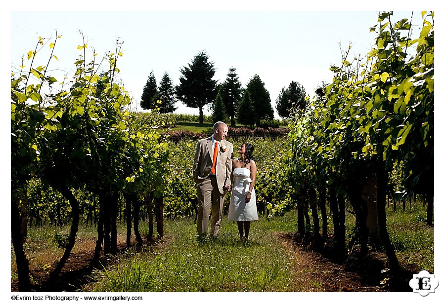 Wine Country Farm and Bed and Breakfast Wedding