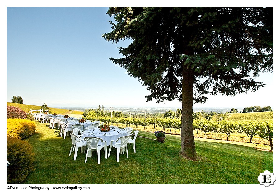 Wine Country Farm and Bed and Breakfast Wedding