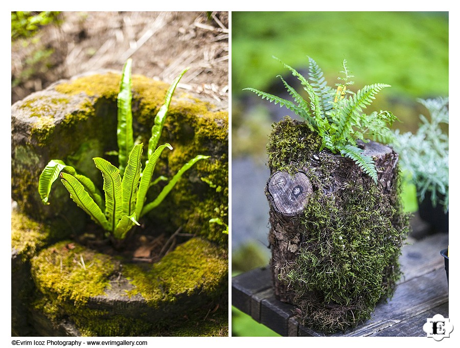 Leach Botanical Garden Wedding