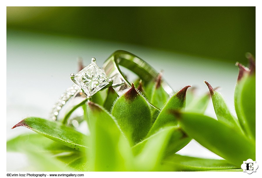 Leach Botanical Garden Wedding