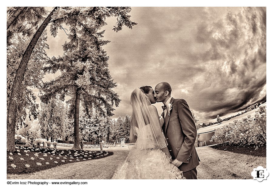 Portland Ethiopian Wedding