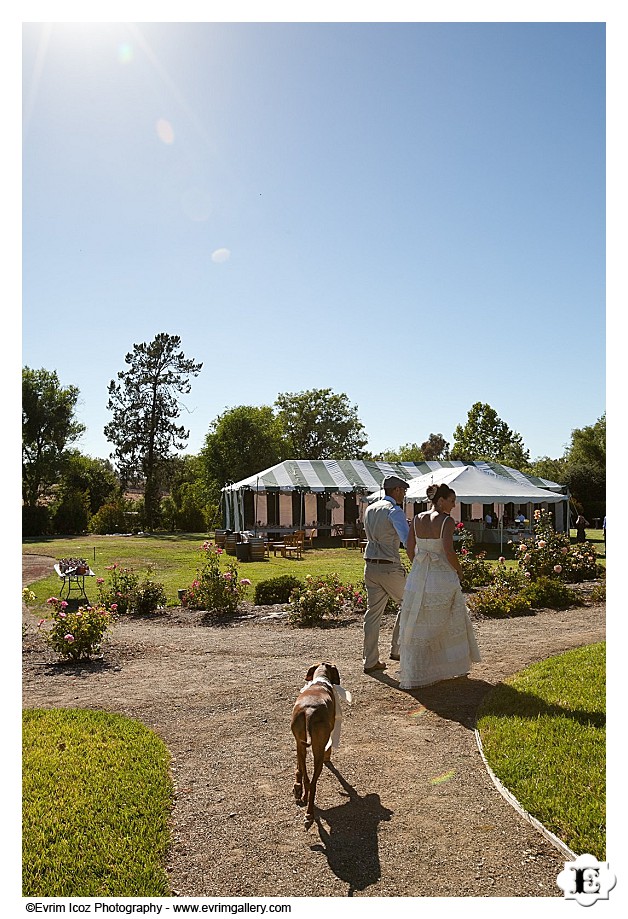 Santa Ynez Valley Wedding