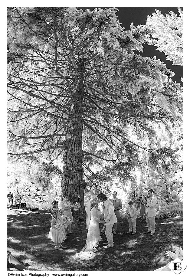 Wedding at Hoyt Arboretum Wedding Meadow