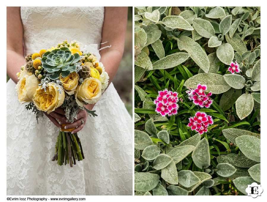 McMenamins Blackberry Hall Edgefield Lawn Wedding