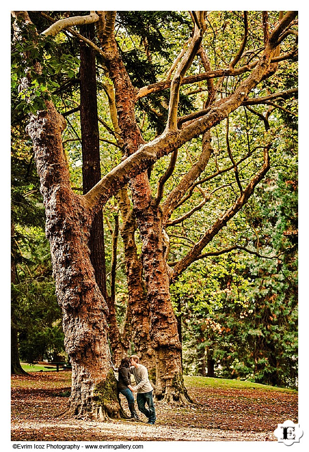 Portland Fall Engagement Pictures