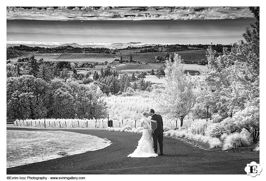 Willamette Valley Vineyards