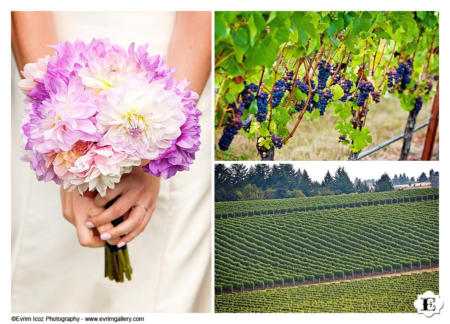 methven-family-vineyards