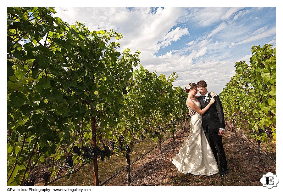 methven-family-vineyards