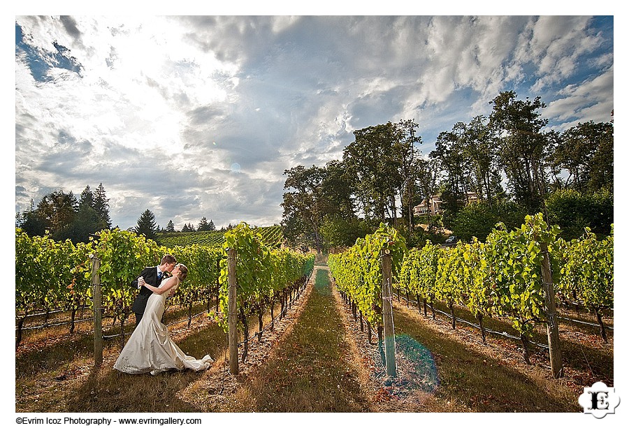 methven-family-vineyards