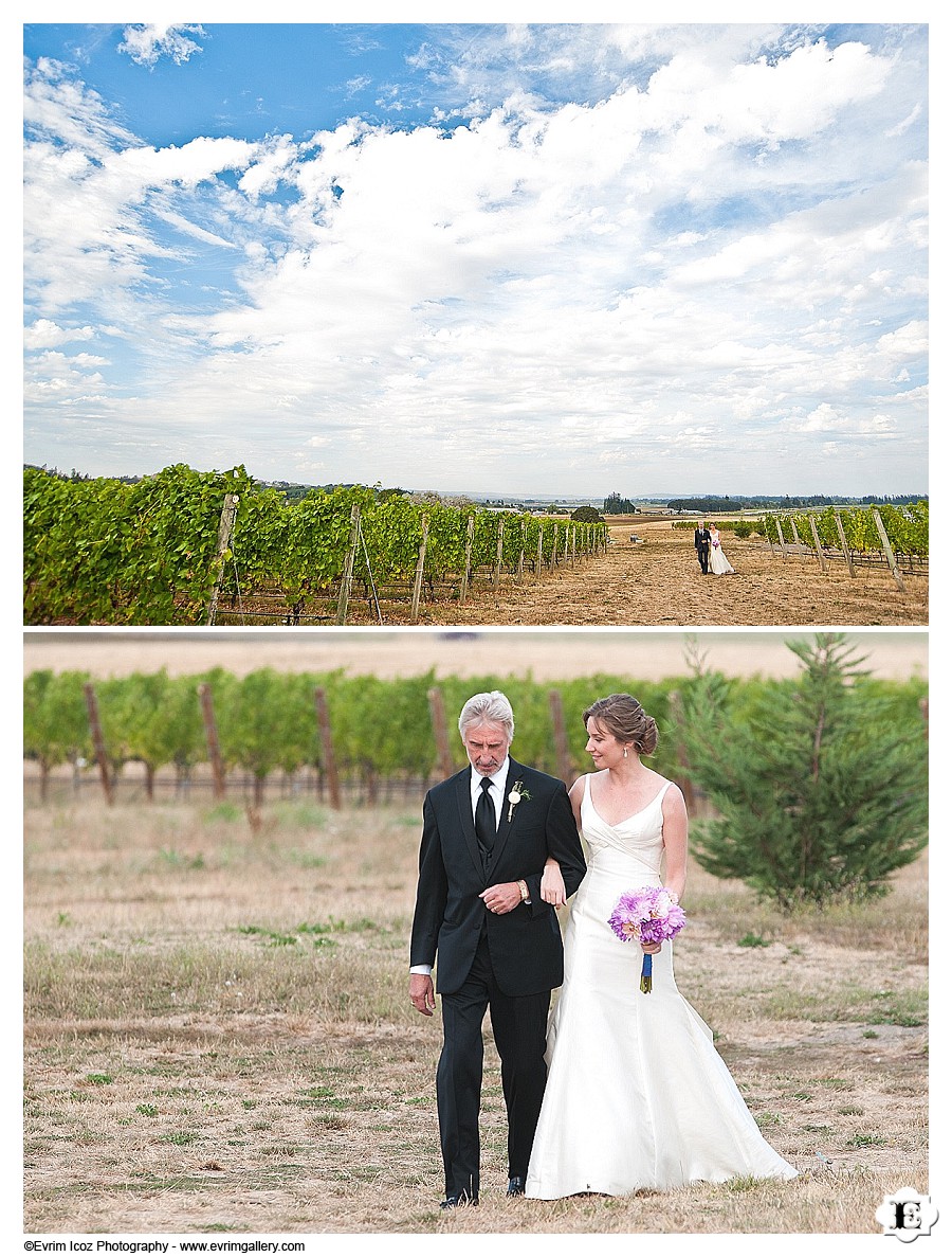 methven-family-vineyards