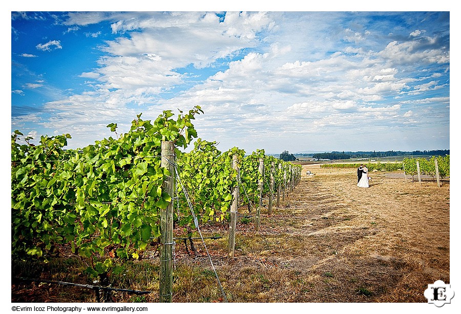 methven-family-vineyards