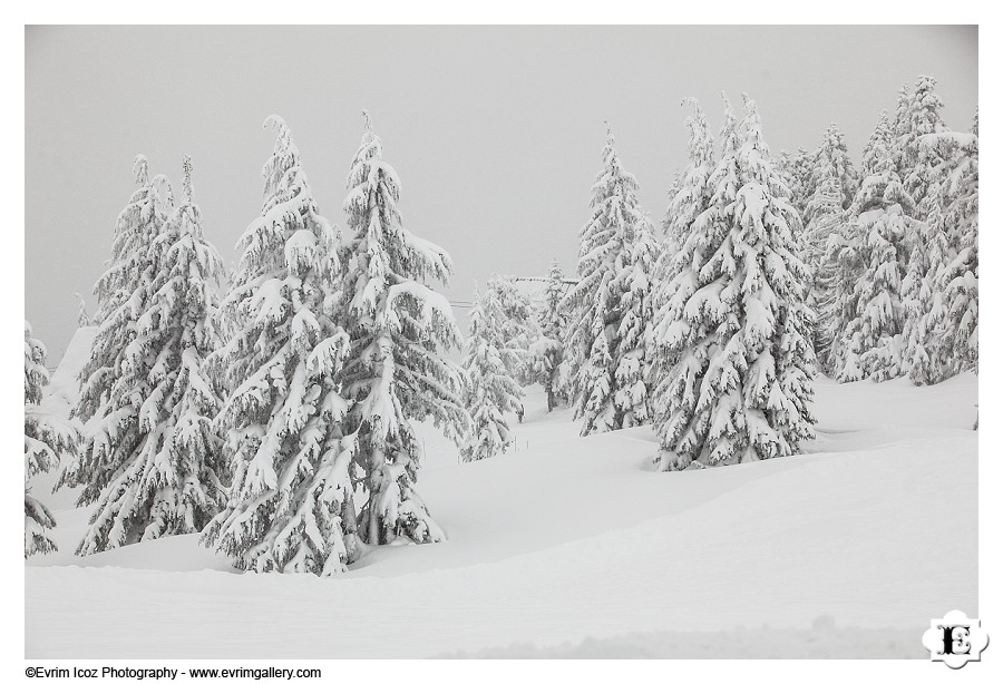 Winter Wedding at Timberline Lodge