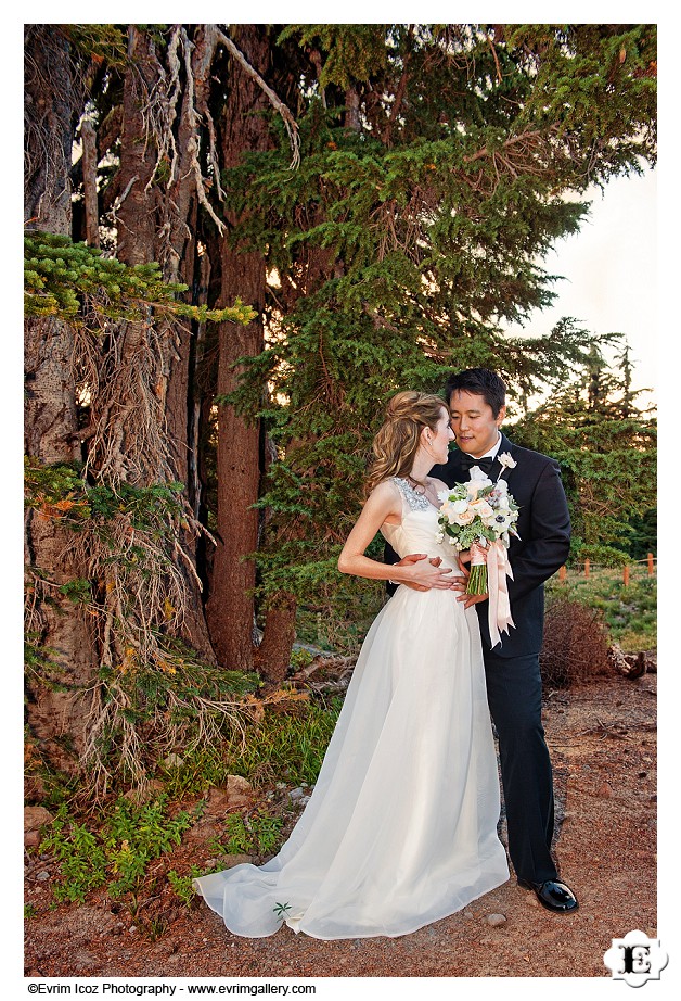 Timberline Lodge Summer Mt. Hood Wedding