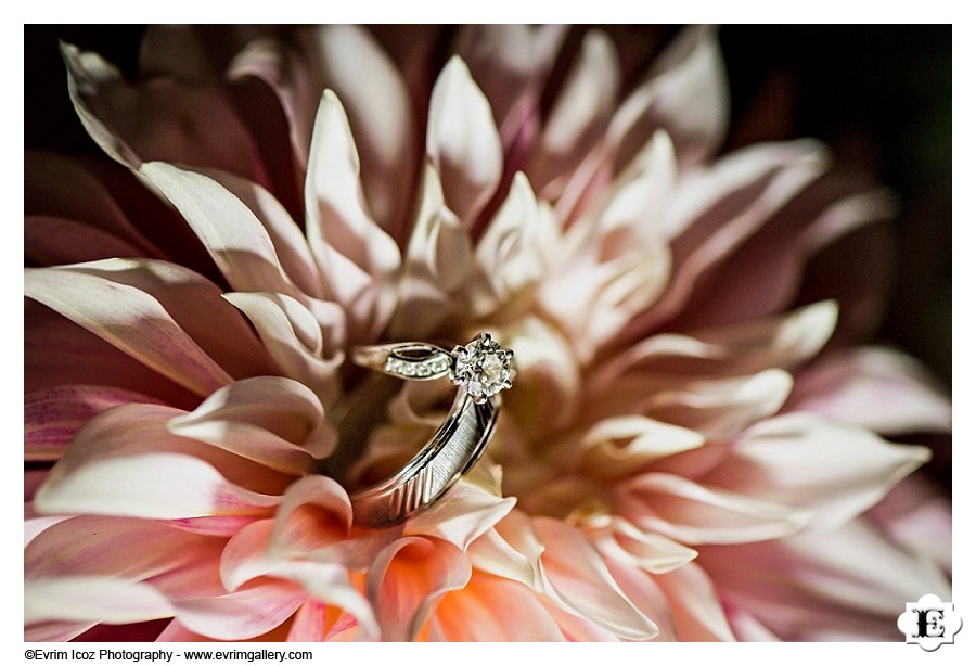 Timberline Lodge Summer Mt. Hood Wedding