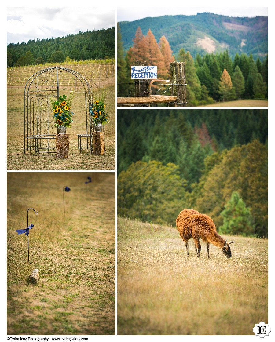 Barn Wedding at Washington White Salmon