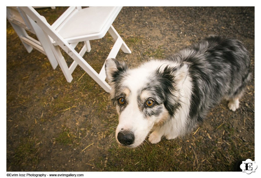 Barn Wedding at Washington White Salmon