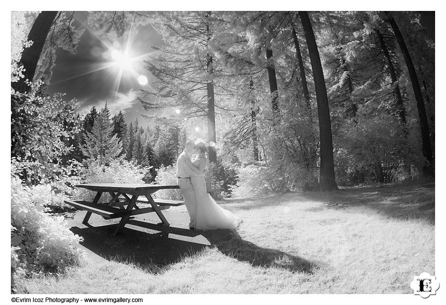 Wedding at Stevens pavilion at Hoyt Arboretum, Portland, Oregon