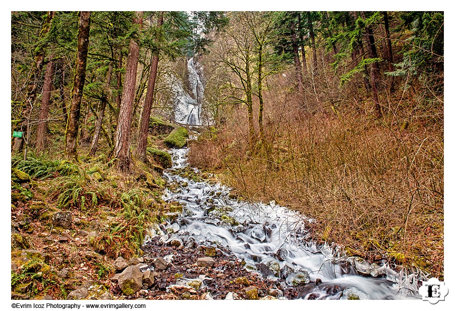 Winter Snow Frozen Wahkeena Falls Oregon