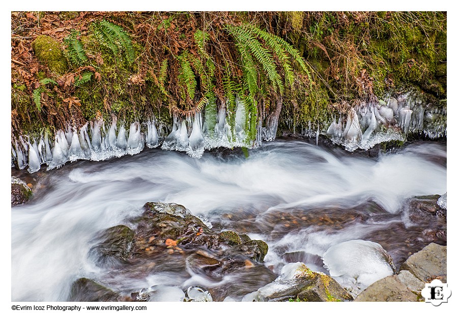 Winter Snow Frozen Wahkeena Falls Oregon